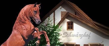 קולמבאך Landhotel Schwaerzhof מראה חיצוני תמונה